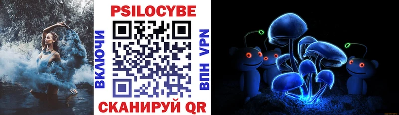 Галлюциногенные грибы Psilocybe  Купить  Алексеевка 